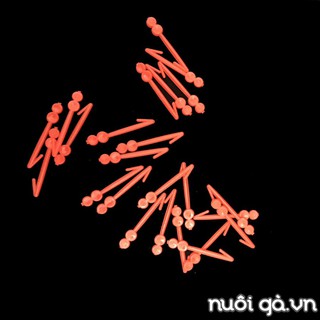 100 Chốt kính gà