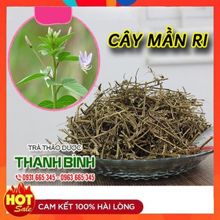 Cây Mần Ri 1Kg khô _ Loại 1