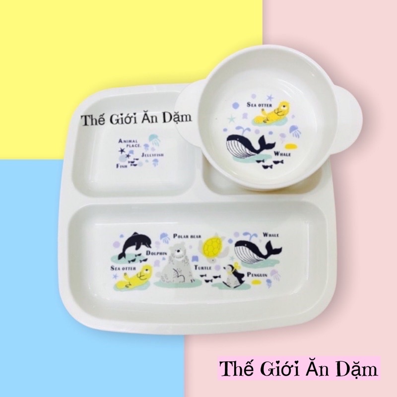 Khay Hoặc Chén Ăn Dặm BLW ( NHIỀU HÌNH)(Thế Giới Ăn Dặm)