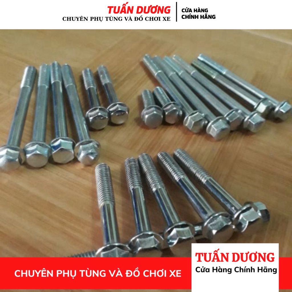 Bộ Ốc Bắt Lốc Máy Xe Dream Wave [ CHÍNH HÃNG ] Honda Lắp Được Cho Cả Dream Và Wave Việt Và Thái các đời