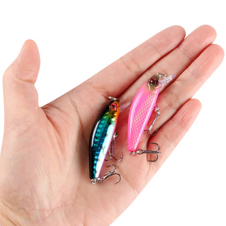 1 Mồi Câu Cá Giả Hình Cá Nước Ngọt 5.5cm / 6.5g