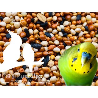 2KG |THỨC ĂN HẠT HỖN HỢP CHO YẾN PHỤNG.