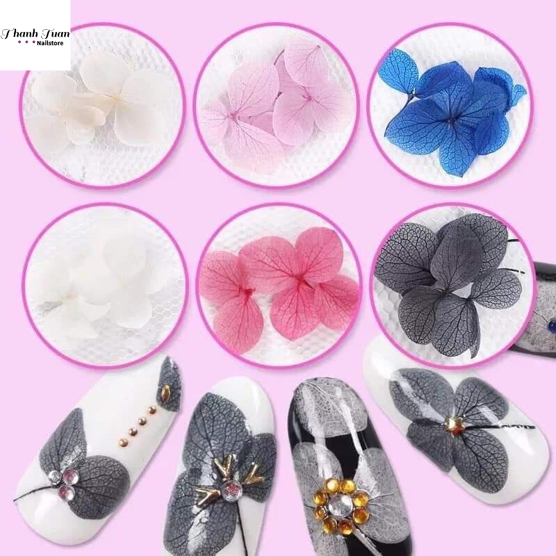 Set hoa khô nail 12 màu, hoa khô trang trí móng - Phụ kiện đồ nail