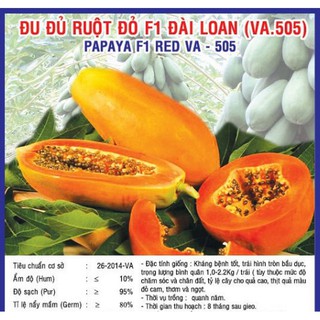 Hạt giống ĐU ĐỦ RUỘT ĐỎ