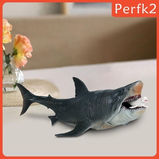 Mô hình cá mập Megalodon chân thật
