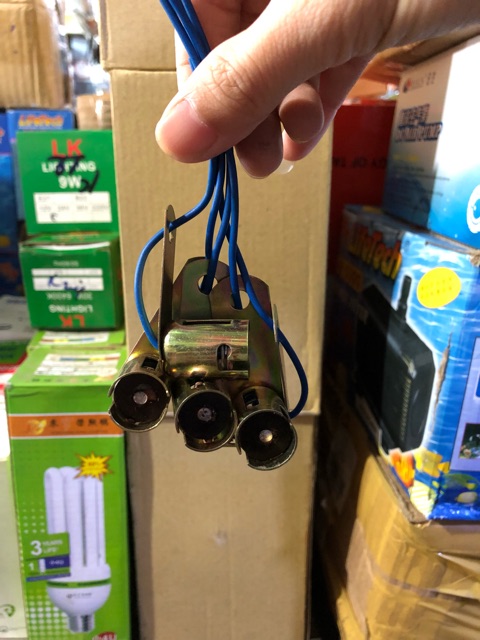 Hộp 10 Bóng đèn 1 tim 21W 12V/24V Sun shing