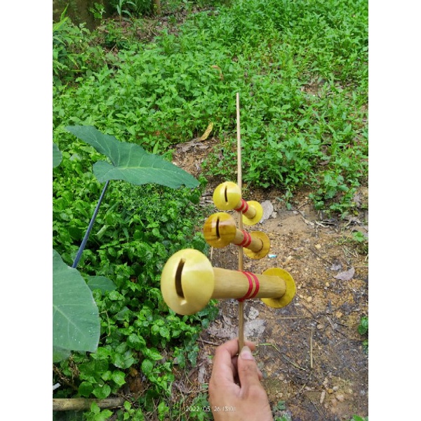 Cồng  còi  d30--35