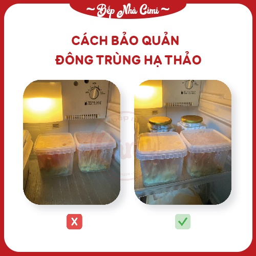 Đông Trùng Hạ Thảo Tươi Hộp 200 gram - Bếp Nhà CIMI