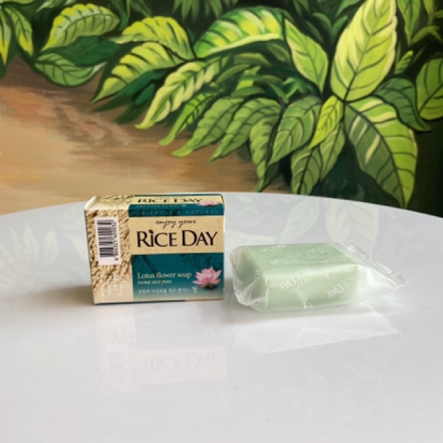 XÀ BÔNG CỤC RICE DAY LOTUS HÀN QUỐC CHO NAM/NỮ 100GR | BigBuy360 - bigbuy360.vn