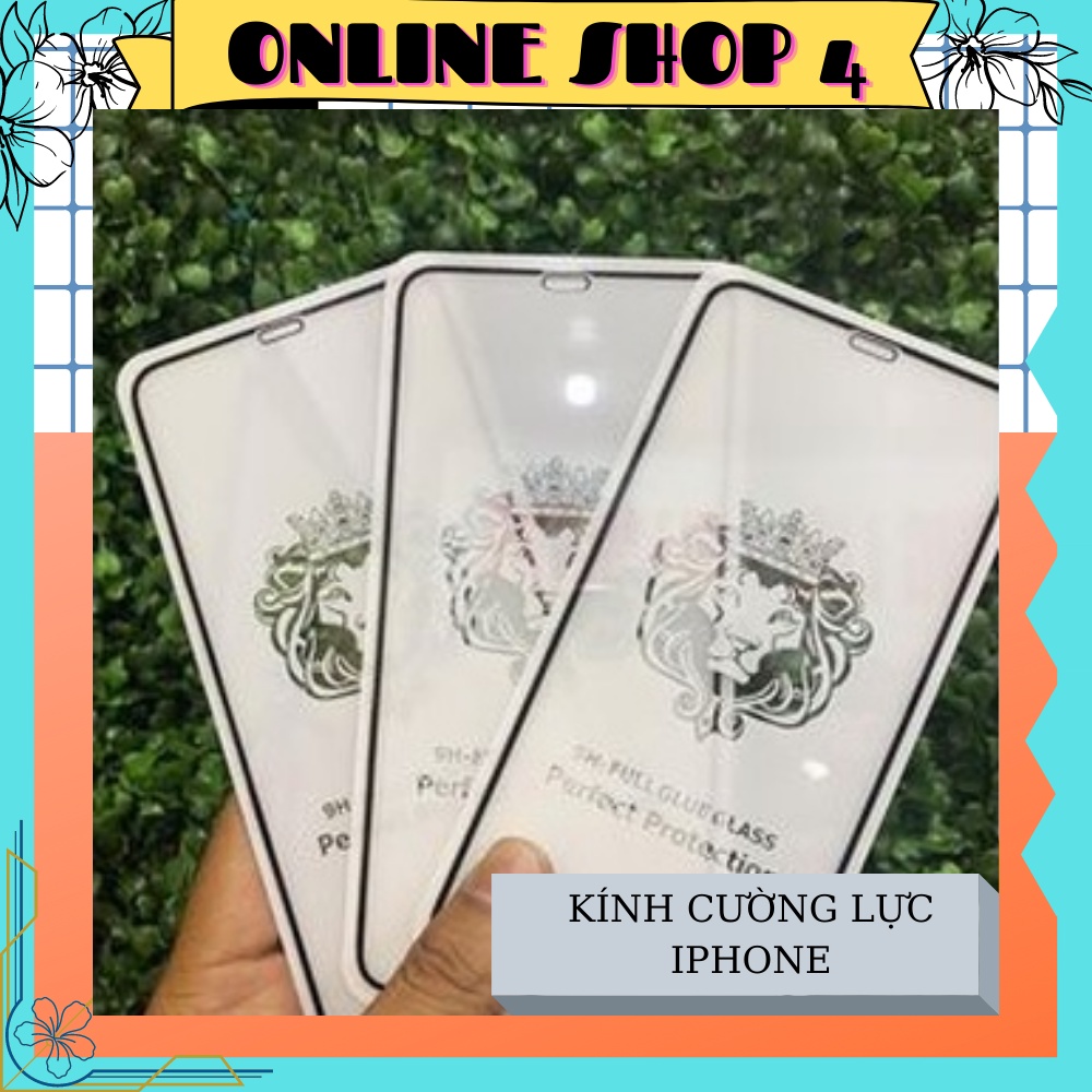 Kính cường lực iPhone 10D full màn
