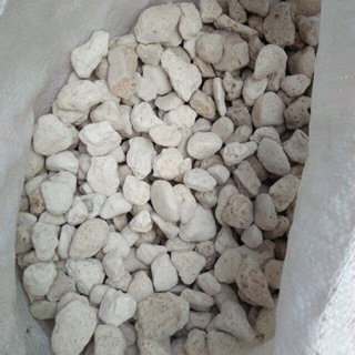 Combo 5kg đá Bọt trồng Hoa Lan và cây cảnh