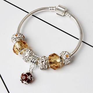 Vòng tay CHARM phong thủy nhìu màu(chat chọn mẫu)