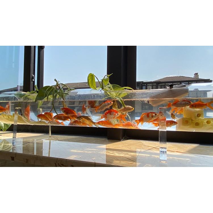 Bể tép cá acrylic hình dạng ống tròn dài 50cm