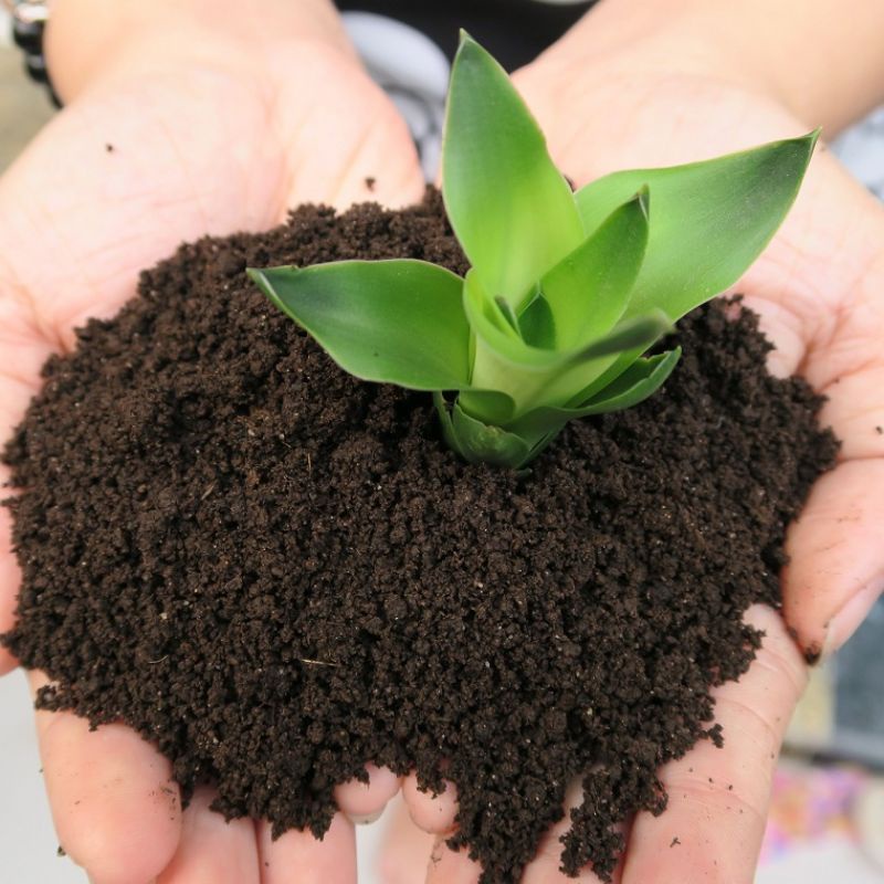 Phân bón hữu cơ organic dạng viên nén tròn