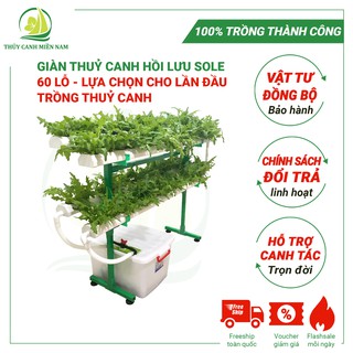 [MỚI] BỘ TRỒNG RAU THUỶ CANH THÔNG MINH TẠI NHÀ - GIÀN SOLE 60 LỖ