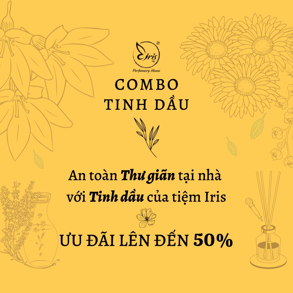 Combo 5 tinh dầu concept mùi hương thiết kế đặc biệt