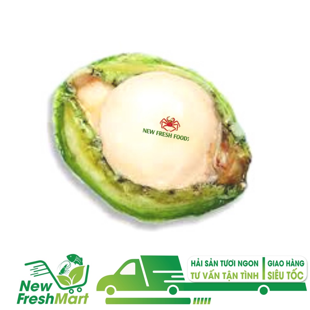 Thịt Bào Ngư Úc Viền Xanh - 1kg [Giao Nhanh HCM]