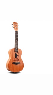 Ukulele BWS 23 full pk