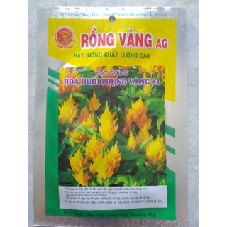 Hạt giống hoa mào gà đuôi phụng
