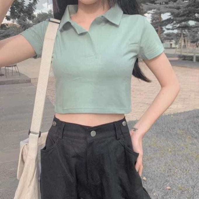 Áo Croptop nữ tay ngắn, cổ trơn Hàng cao cấp ôm dáng Ulzzang (siêu xinh) 20beautyplus
