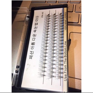 Mi chùm Hàn Quốc