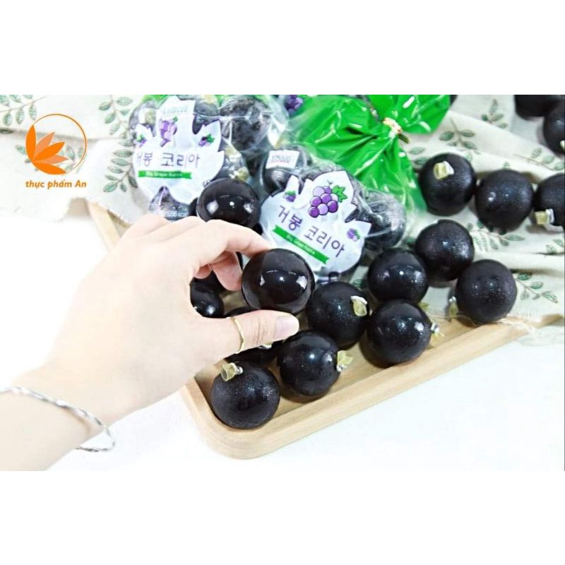 𝗧𝗛𝗔̣𝗖𝗛 𝗡𝗛𝗢 𝗡𝗢̂̉  𝗞𝗬𝗢𝗛𝗢 𝗛𝗔̀𝗡 𝗤𝗨𝗢̂́𝗖 𝗗𝗔𝗧𝗘 𝗫𝗔, 𝗡𝗚𝗢𝗡 𝗧𝗛𝗔̂̀𝗡 𝗦𝗔̂̀𝗨