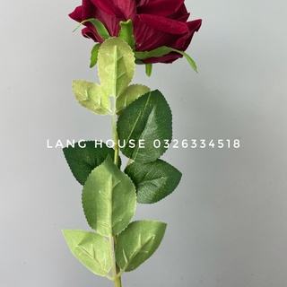 Hoa Giả Lụa - HOA HỒNG PHÁP BONICA Cao Cấp