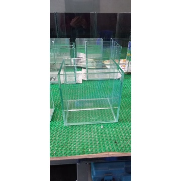 Bể Show cá Guppy, betta