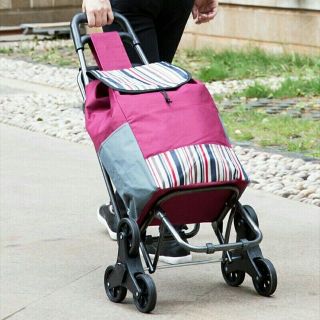 Xe kéo đi chợ 2 bánh, 3 bánh địa hình có túi đựng đồ chống nước