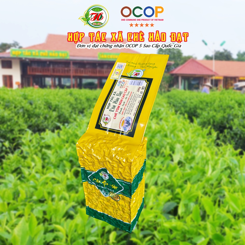 Chè Tôm Nõn Cao Cấp 1 - Hợp Tác Xã Chè Hảo Đạt - Chè Tân Cương Thái Nguyên