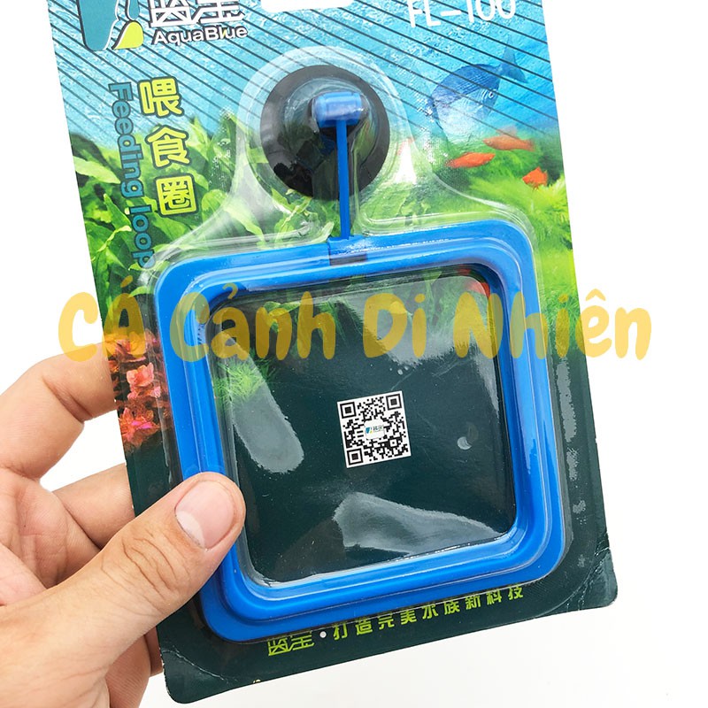 Vòng GIỮ THỨC ĂN cho cá ăn - Giữ thức ăn không bị phân tán