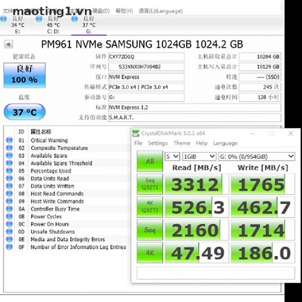 Bảng mạch chuyển đổi NVMe M.2 NGFF SSD sang PCI-E PCI express 3.0 16x x4 | BigBuy360 - bigbuy360.vn