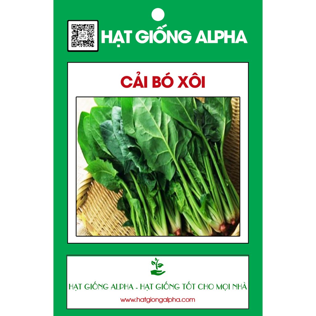 Gói 500g Hạt giống cải bó xôi chịu nhiệt