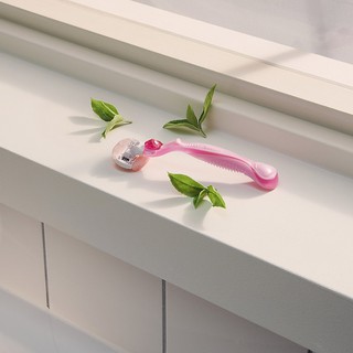 Dao Cạo Vệ Sinh nữ Gillette Venus Spa
