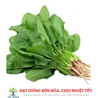 Hạt giống cải bó xôi chịu nhiệt 20g .