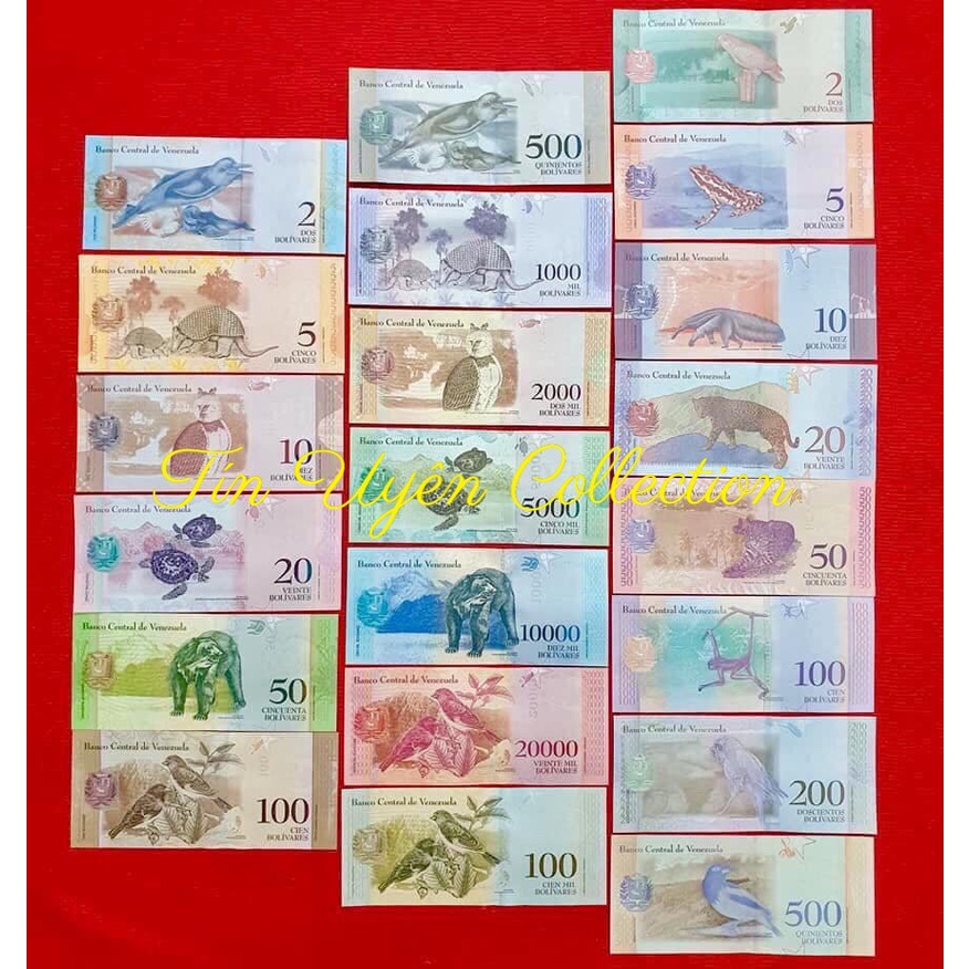 Full Bộ 21 tờ tiền Venezuela mới đẹp lung linh kỷ niệm, sưu tầm, biếu tặng Lì Xì Tết độc đáo