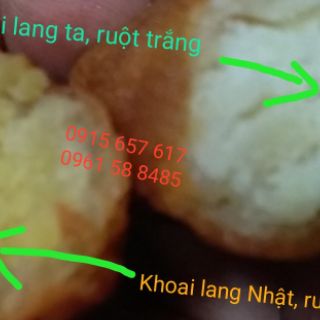 KHOAI LANG KÉN ( GIAO TOÀN QUỐC )