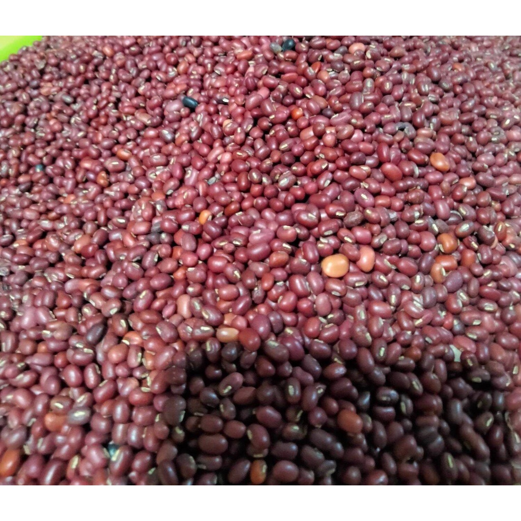 Đậu đỏ hữu cơ thuần chủng không biến đổi Gen 100% -