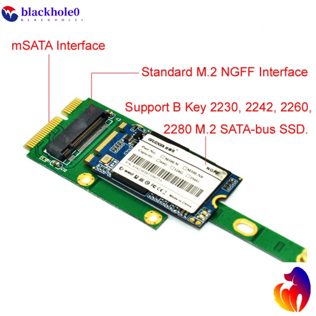 Card chuyển đổi BH MSATA sang M2 NGFF 6.0 Gb / s NGFF M2 SATA Bus SSD B Key cho đầu mSATA M2