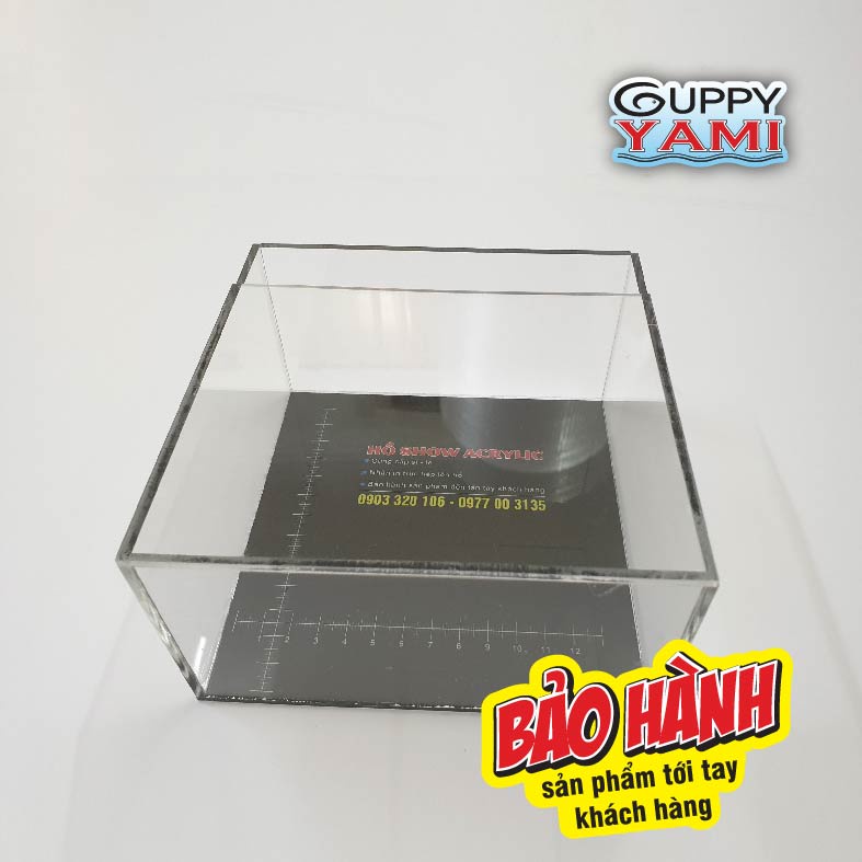 Keo Show cá Guppy mica siêu trong, Hồ Show cá Betta 2:1có thể show nằm & đứng 15x8x15, Bể Show cá Acrylic