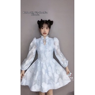 ĐẦM HOA NỔI CỔ ĐỨNG SIÊU HACK EO(14clothinggg)