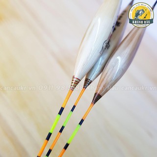 Phao Câu Đài Cỏ Sậy Benting