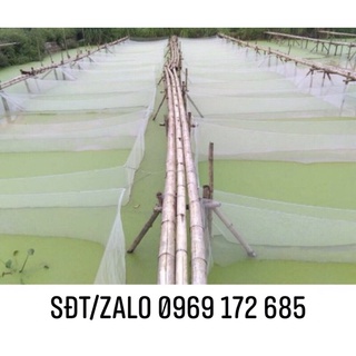 Vèo lưới kích thước 4x2x1