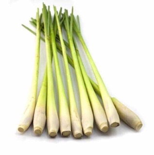 1 lít Tinh Dầu Sả Phước Quảng