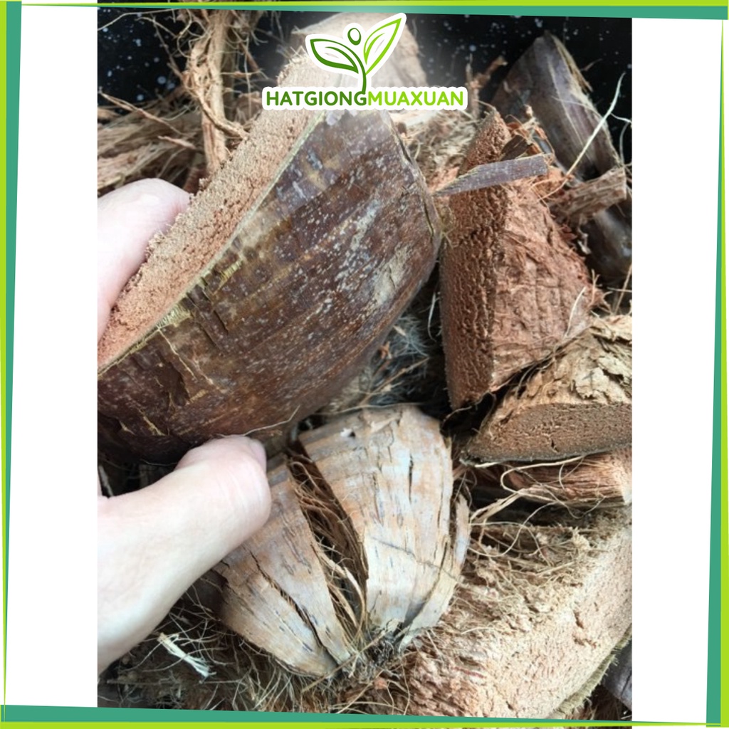 [SIEURE] Xơ dừa đã qua xử lý, cán mềm dùng lót chậu, làm giá thể trồng lan 1kg hàng đẹp, phân phối chuyên nghiệp.
