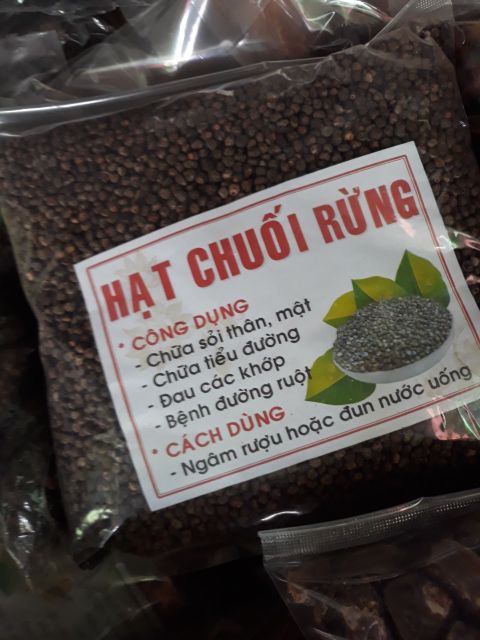 Hột Chuối Rừng