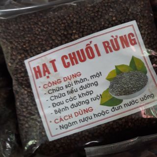 Hột Chuối Rừng
