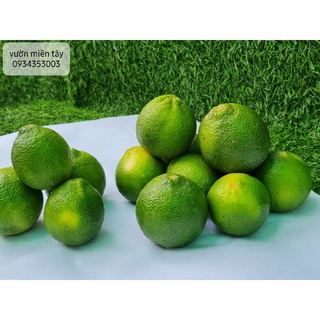 Chanh vườn miền Tây - 1kg