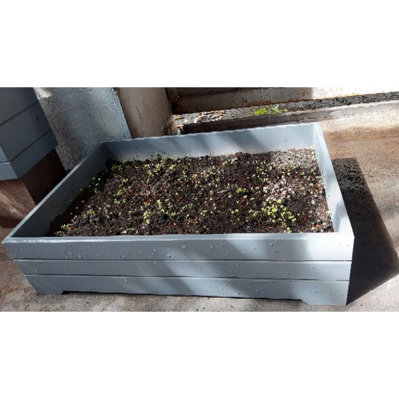 Chậu trồng rau composite ( Home Việt)