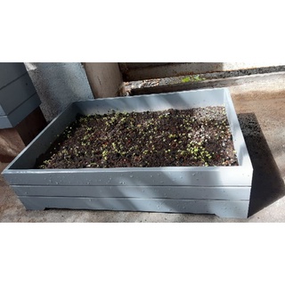 Chậu trồng rau composite
